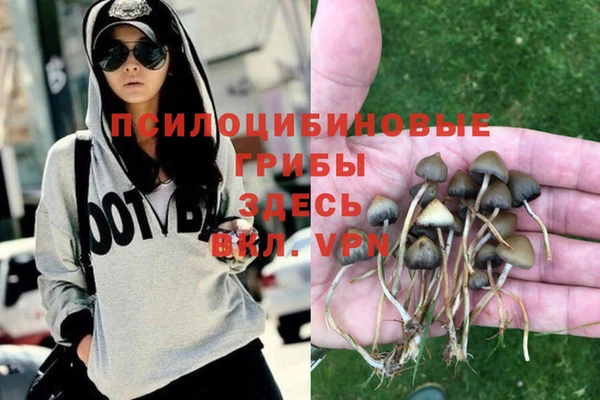первитин Алексеевка