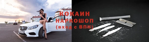 прущие грибы Анива