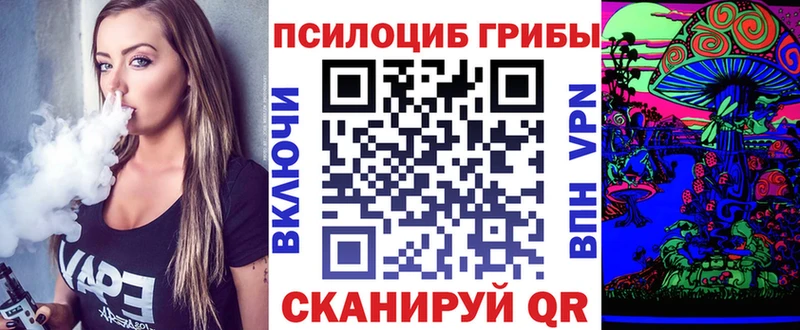 где продают   Харабали  Псилоцибиновые грибы мицелий 